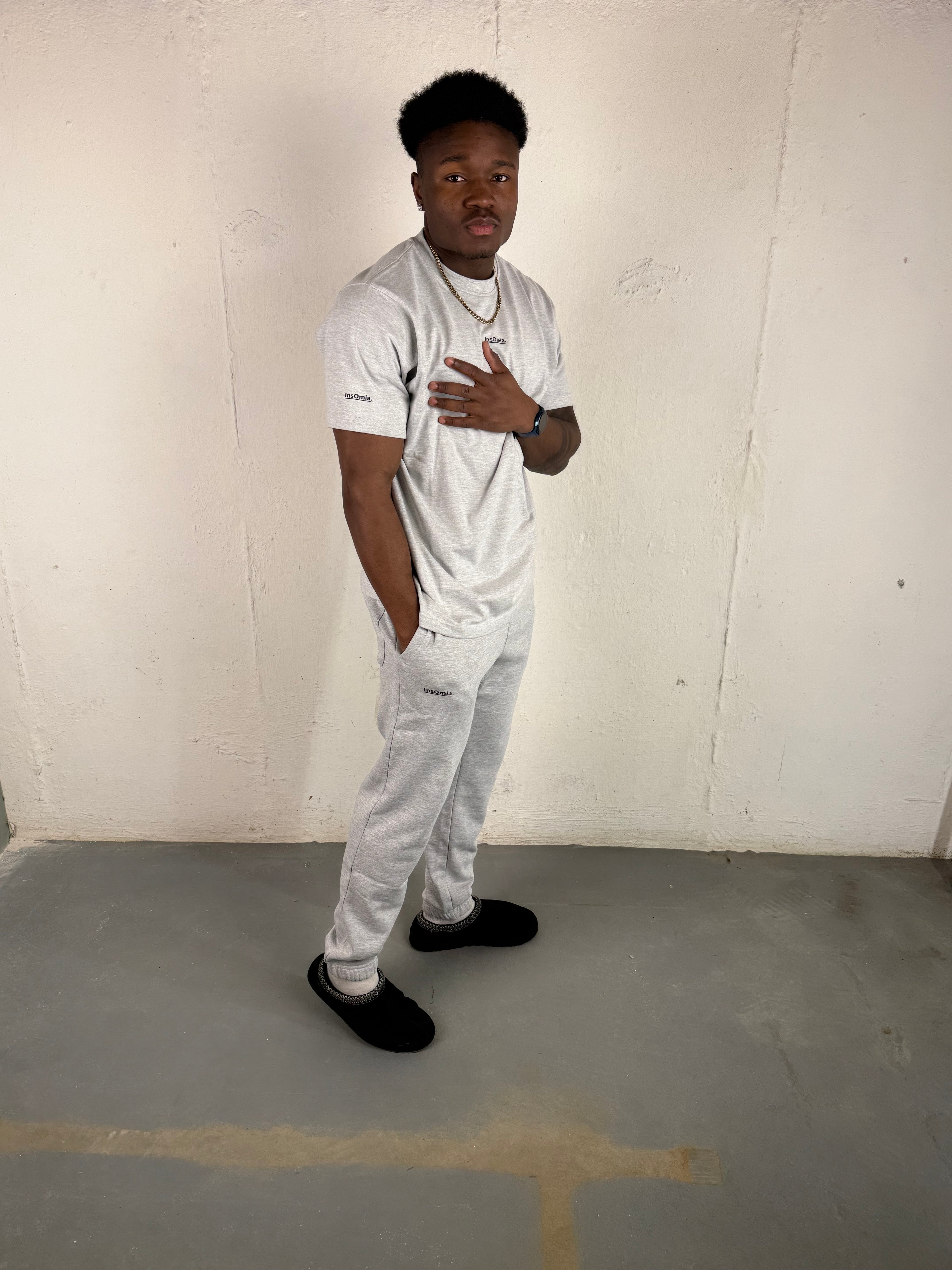InsOmia Signature Heavyweight Grey T-shirt